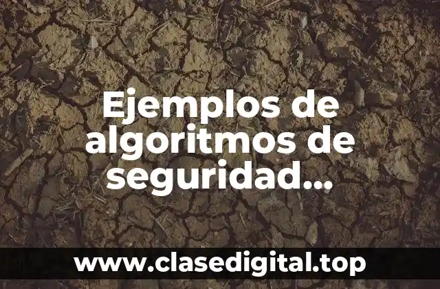 Ejemplos de algoritmos de seguridad informática