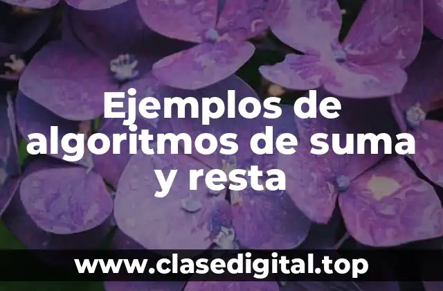 Ejemplos de algoritmos de suma y resta