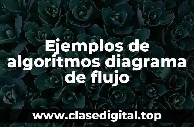 Ejemplos de algoritmos diagrama de flujo