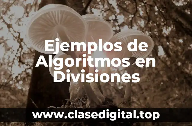 Ejemplos de Algoritmos en Divisiones