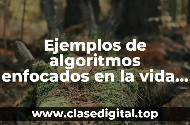 Ejemplos de algoritmos enfocados en la vida real