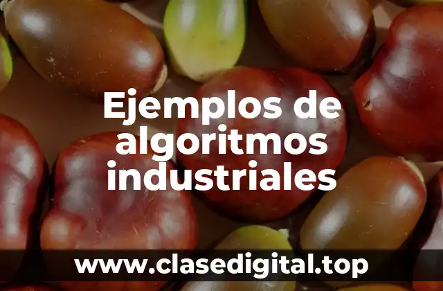 Ejemplos de algoritmos industriales