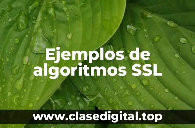 Ejemplos de algoritmos SSL