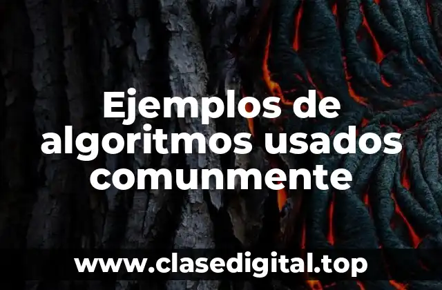 Ejemplos de algoritmos usados comunmente