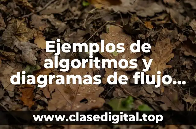 Ejemplos de algoritmos y diagramas de flujo con Raptor