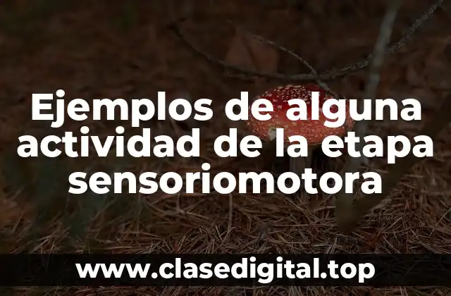 Ejemplos de alguna actividad de la etapa sensoriomotora
