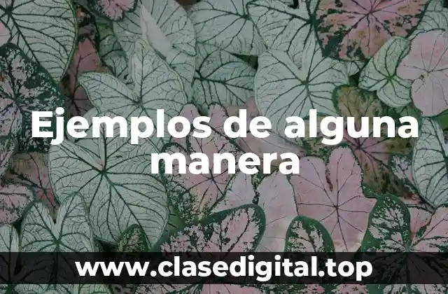 Ejemplos de alguna manera
