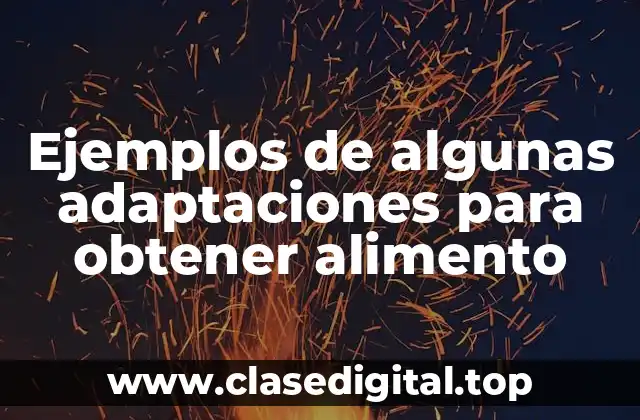 Ejemplos de algunas adaptaciones para obtener alimento