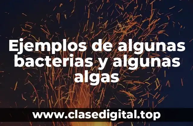 Ejemplos de algunas bacterias