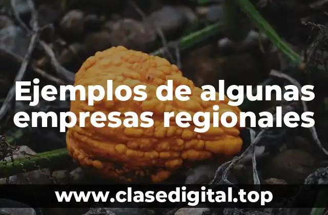 Ejemplos de algunas empresas regionales