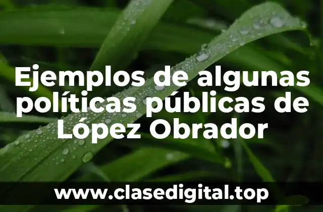 Ejemplos de algunas políticas públicas de López Obrador