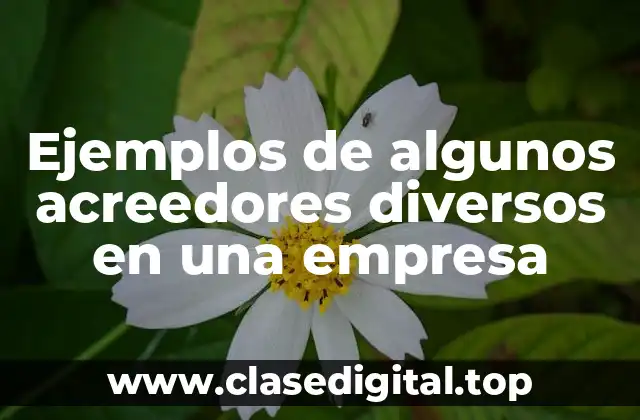 Ejemplos de algunos acreedores diversos en una empresa