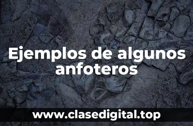 Ejemplos de algunos anfoteros