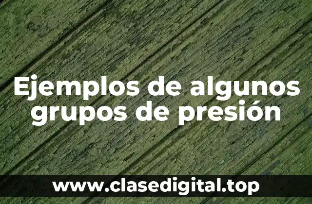 Ejemplos de algunos grupos de presión