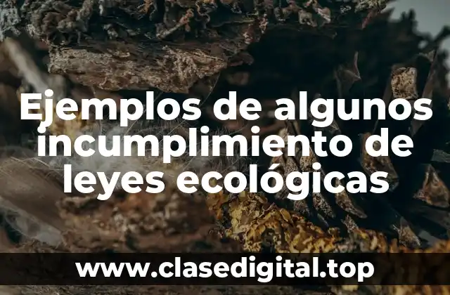 Ejemplos de algunos incumplimiento de leyes ecológicas