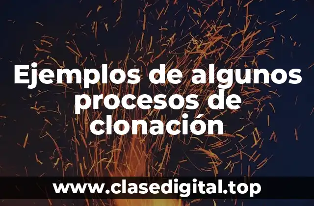 Ejemplos de clonación
