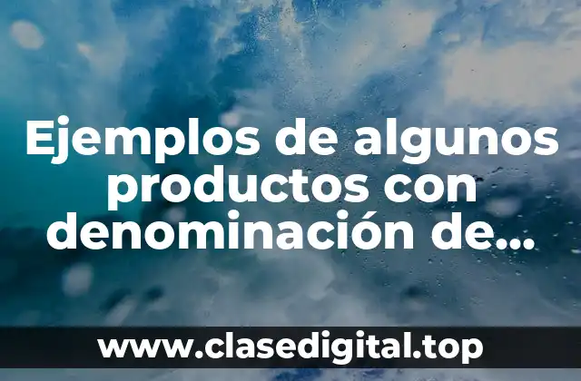 Ejemplos de algunos productos con denominación de origen en México