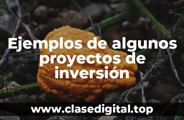 Ejemplos de algunos proyectos de inversión