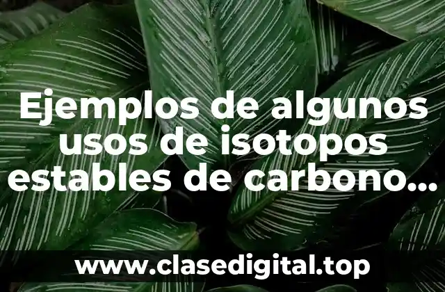 Ejemplos de algunos usos de isotopos estables de carbono y Significado