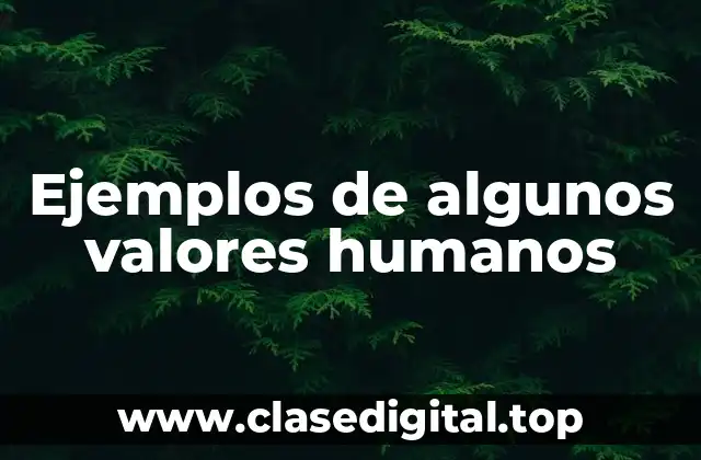 Ejemplos de algunos valores humanos
