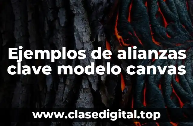 Ejemplos de alianzas clave modelo canvas