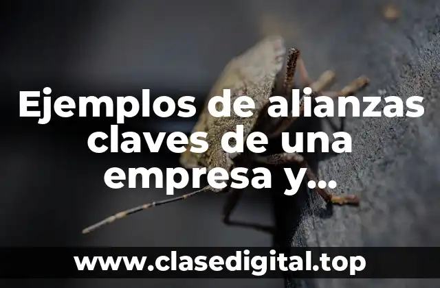 Ejemplos de alianzas claves de una empresa y Significado