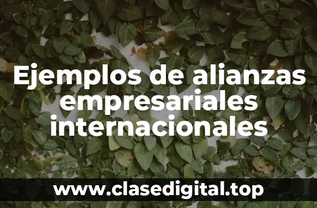 Ejemplos de alianzas empresariales internacionales