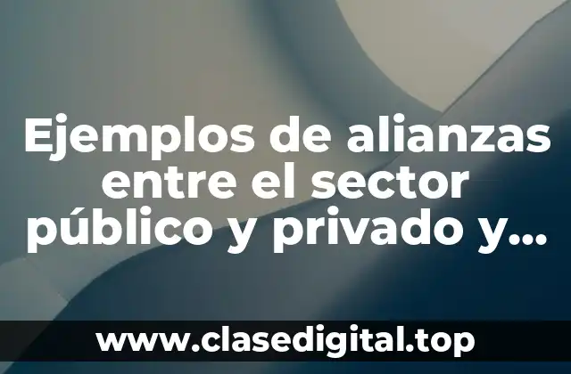 Ejemplos de alianzas entre el sector público y privado y Significado