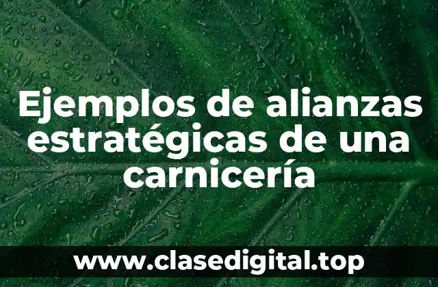 Ejemplos de alianzas estratégicas de una carnicería