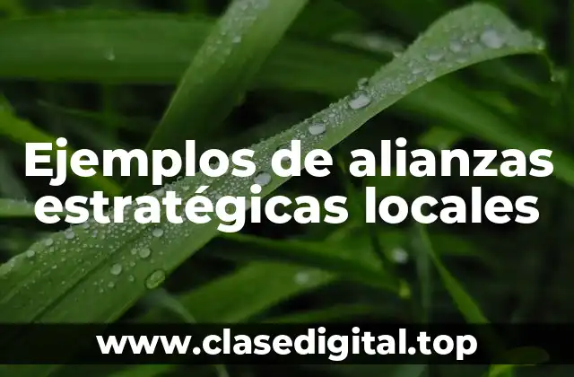 Ejemplos de alianzas estratégicas locales