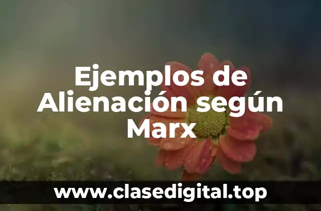 Ejemplos de Alienación según Marx