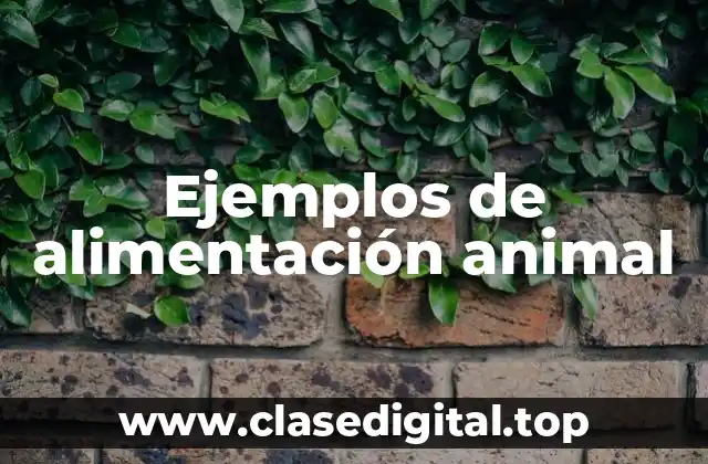 Ejemplos de alimentación animal
