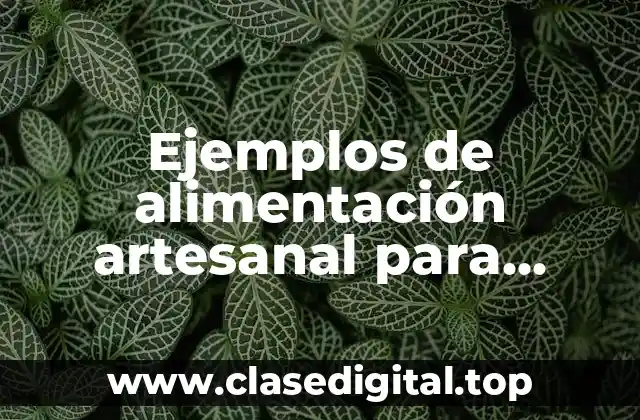 Ejemplos de alimentación artesanal para gastrostomia