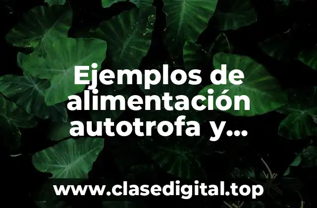 Ejemplos de alimentación autotrofa y heterotrofa
