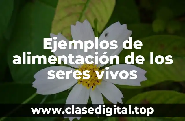 Ejemplos de alimentación de los seres vivos