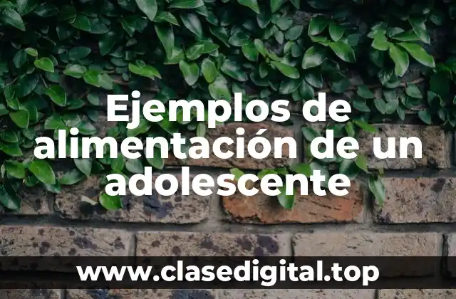 Ejemplos de alimentación de un adolescente