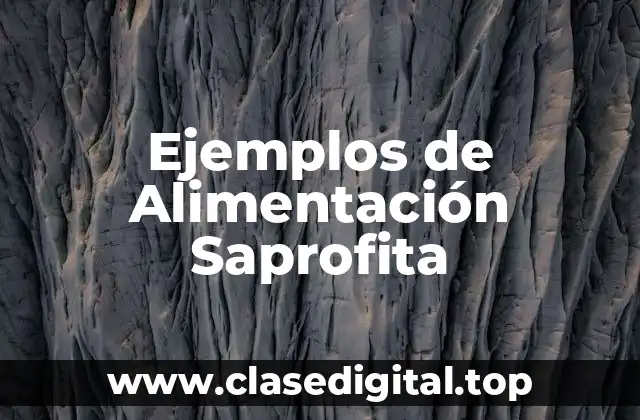 Ejemplos de Alimentación Saprofita