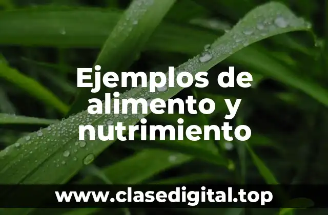 Ejemplos de alimento y nutrimiento
