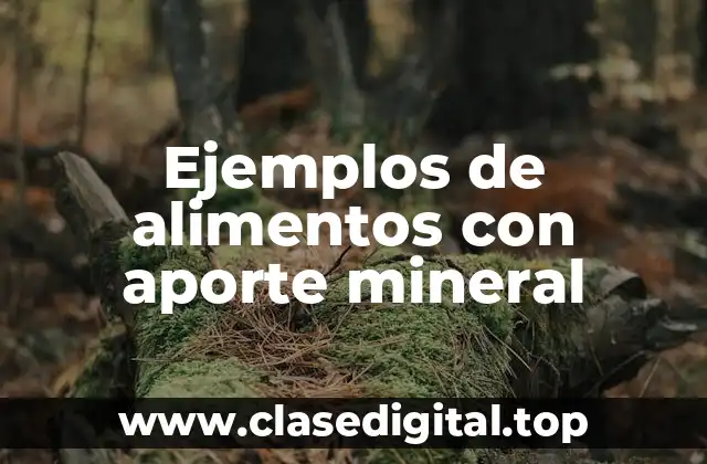 Ejemplos de alimentos con aporte mineral