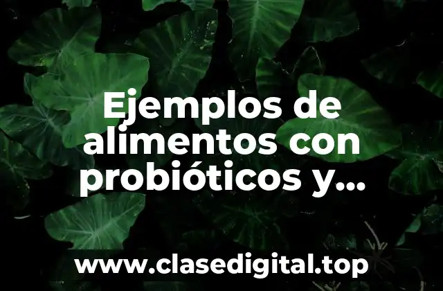 Ejemplos de alimentos con probióticos y nombres