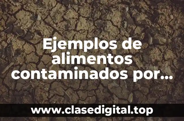 Ejemplos de alimentos contaminados por agentes tóxicos y Significado