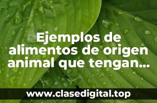 Ejemplos de alimentos de origen animal que tengan lipidos