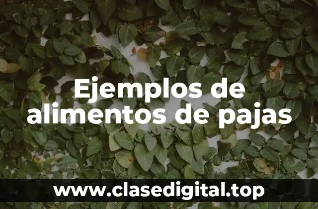 Ejemplos de alimentos de pajas