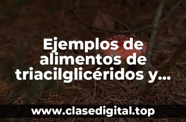 Ejemplos de alimentos de triacilglicéridos