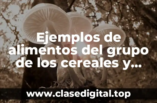 Ejemplos de alimentos del grupo de los cereales y Significado