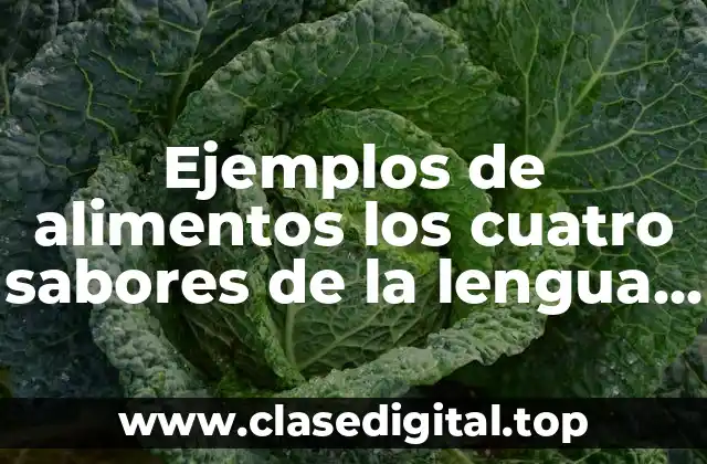 Ejemplos de alimentos los cuatro sabores de la lengua y Significado