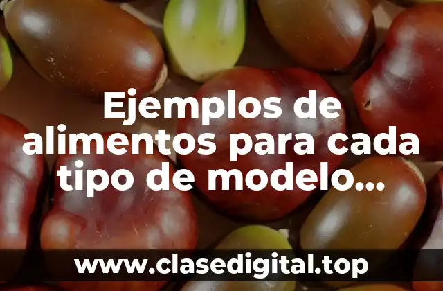 Ejemplos de alimentos para cada tipo de modelo reológico