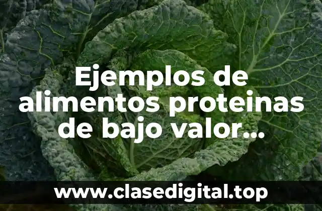 Ejemplos de alimentos proteinas de bajo valor biológico