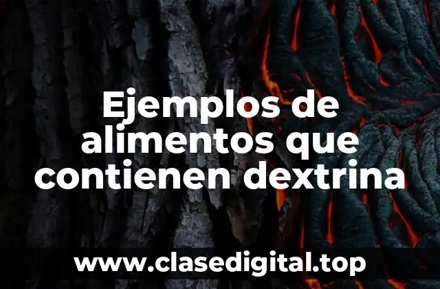 Ejemplos de alimentos que contienen dextrina