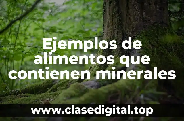 Ejemplos de alimentos que contienen minerales